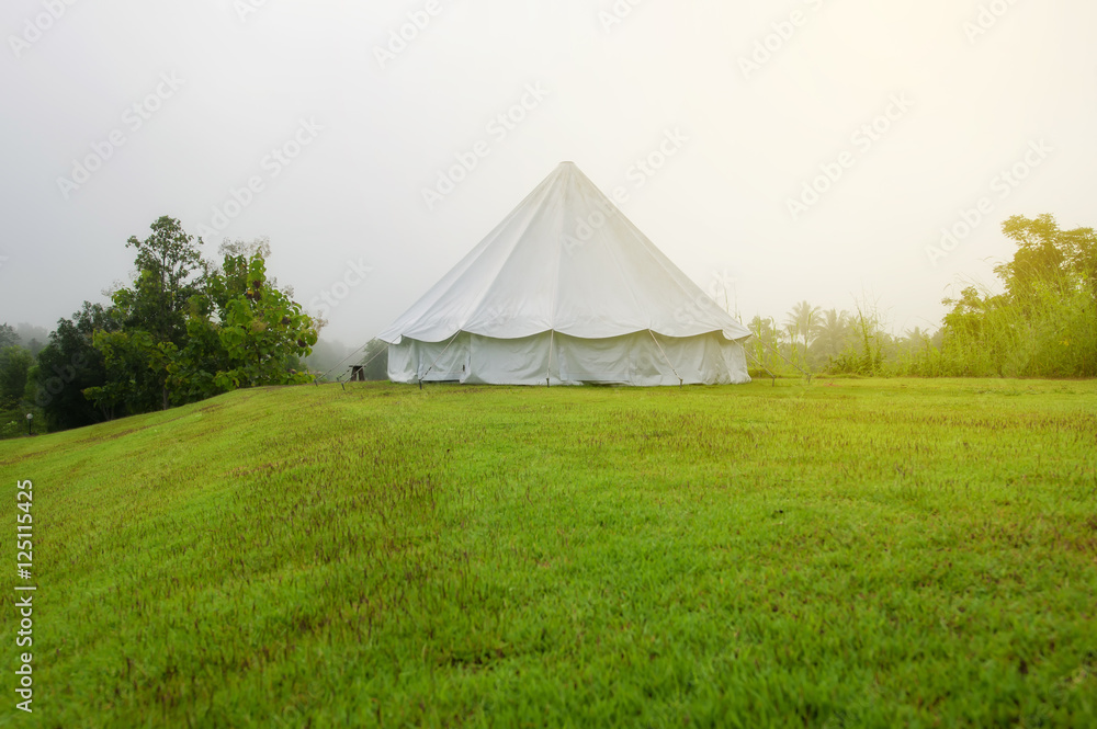 White tent on the green grass.