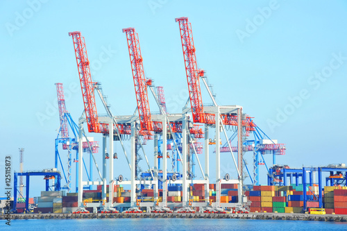 Port cargo crane and container