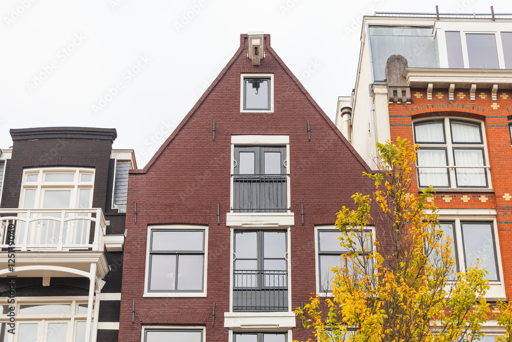 Fototapeta premium Traditional view of buildings roofs in Holland