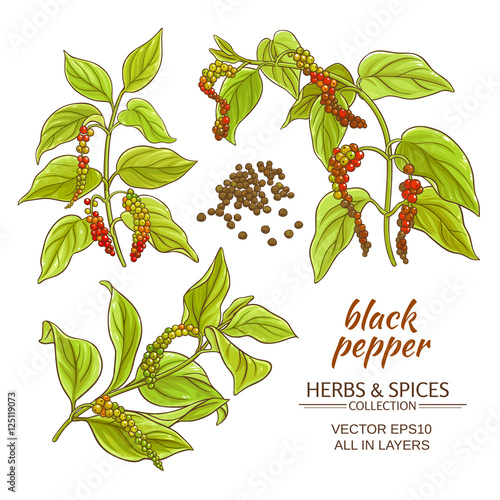 black ground pepper