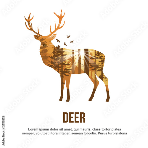 Deer Double Exposure