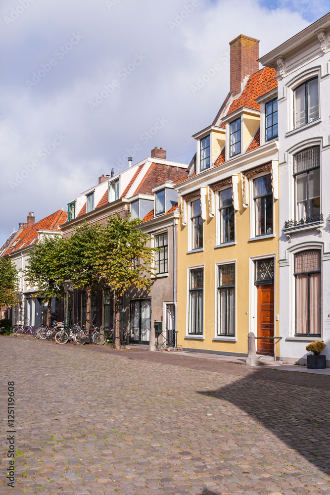 Traditional view of city street in Holland