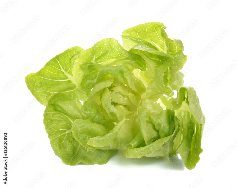 Fresh lettuce salad,Fresh vegetable salad on white background.. Fresh lettuce salad,Fresh vegetable salad on white background..