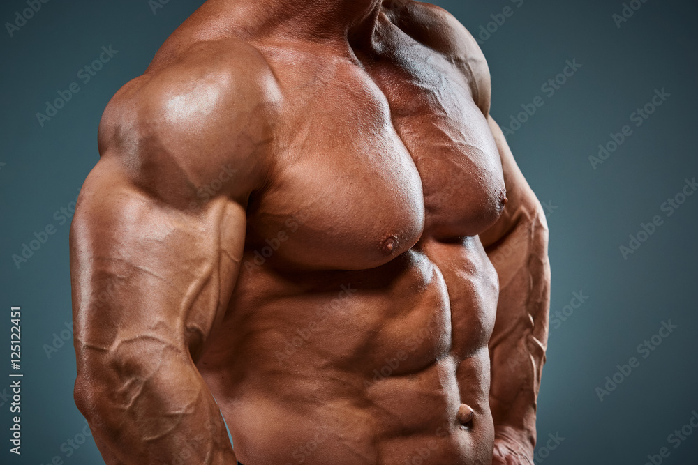 torso of attractive male body builder on gray background. torso of attractive male body builder on gray background.