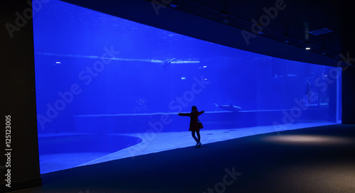 Isolated woman admires a big acquarium tank photo