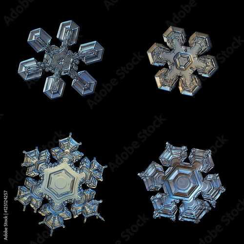 Set with four snowflakes isolated on black background. This is macro photos of real snow crystals: medium size stellar dendrites with simple shape, but complex inner patterns and relief surface.