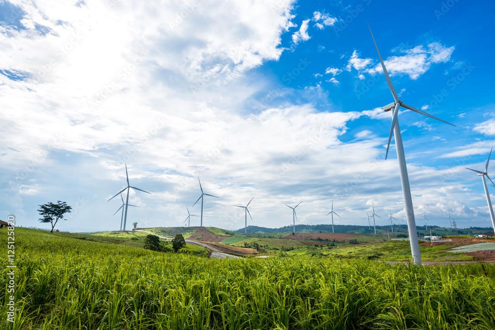 wind turbine with rice field on hill wind turbine with rice field on hill