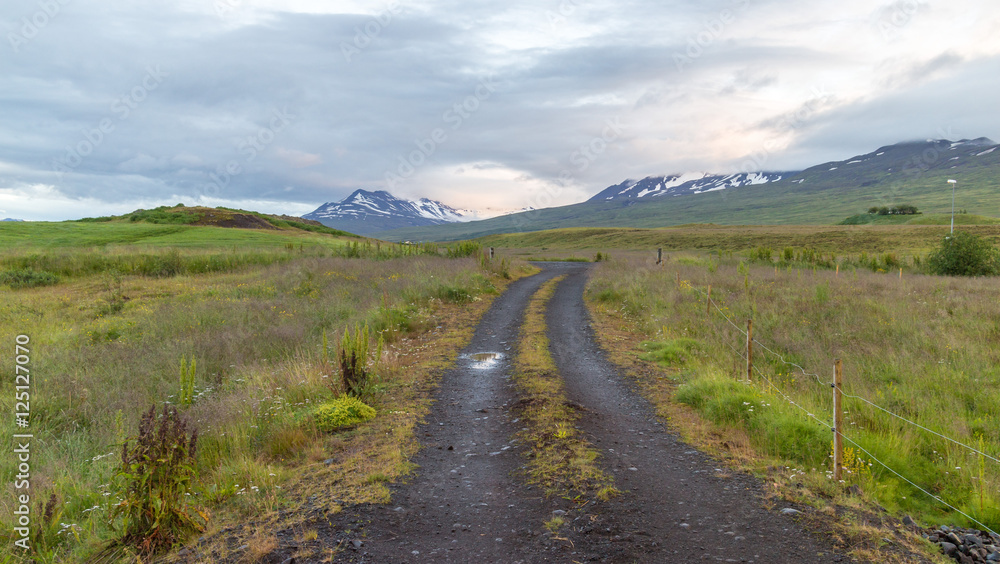 Icelandic grassland and mountains