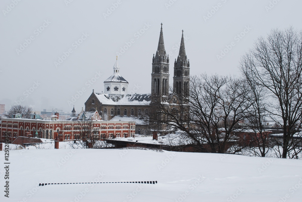 Obraz premium Church in winter
