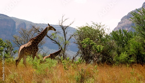 Mother and Child - South Africa