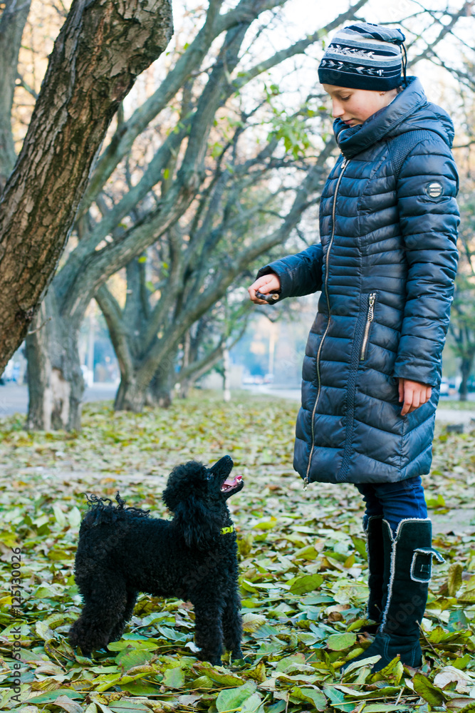 Girl in the autumn with the black poodle Girl in the autumn with the black poodle