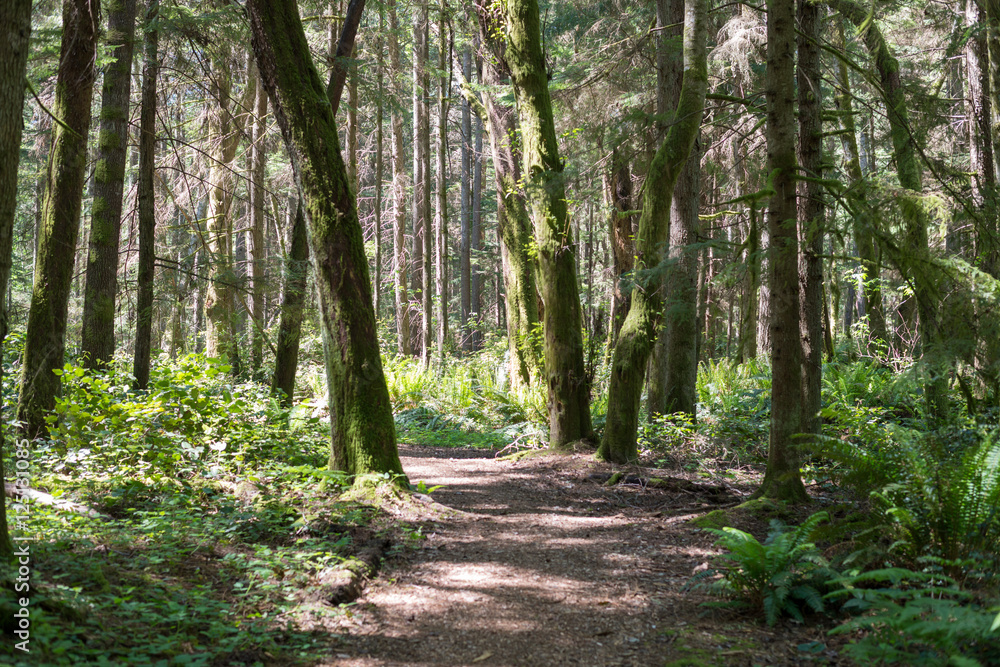Illahee Preserve Illahee Preserve