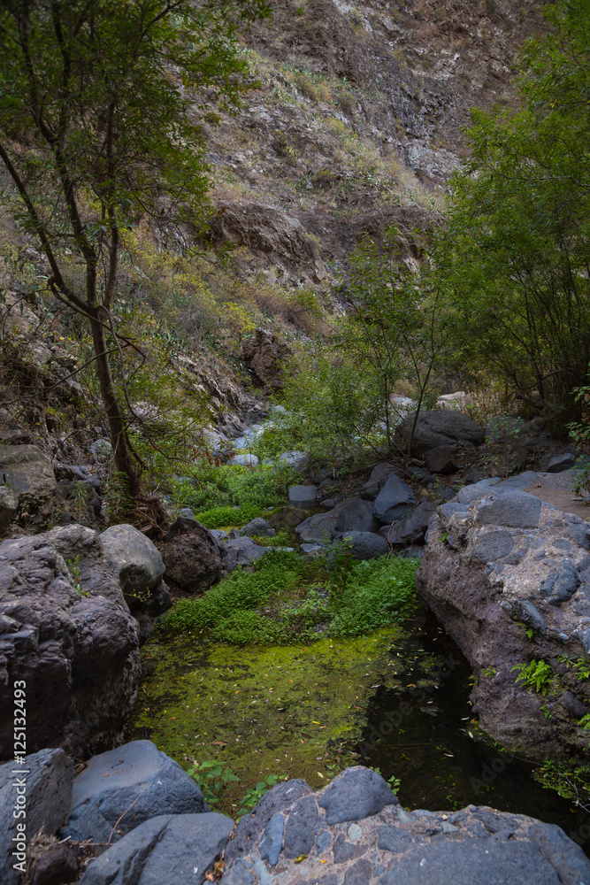 Beautiful landscapes of Barranco del Infierno in Tenerife. Canary islands, Spain