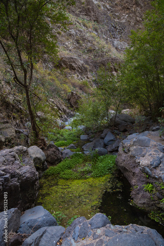 Beautiful landscapes of Barranco del Infierno in Tenerife. Canary islands, Spain