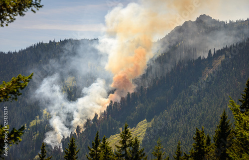 Hurricane Ridge, Olympic National Park