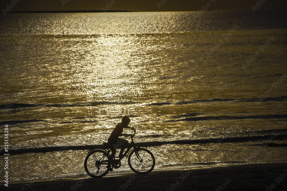 bicicletta