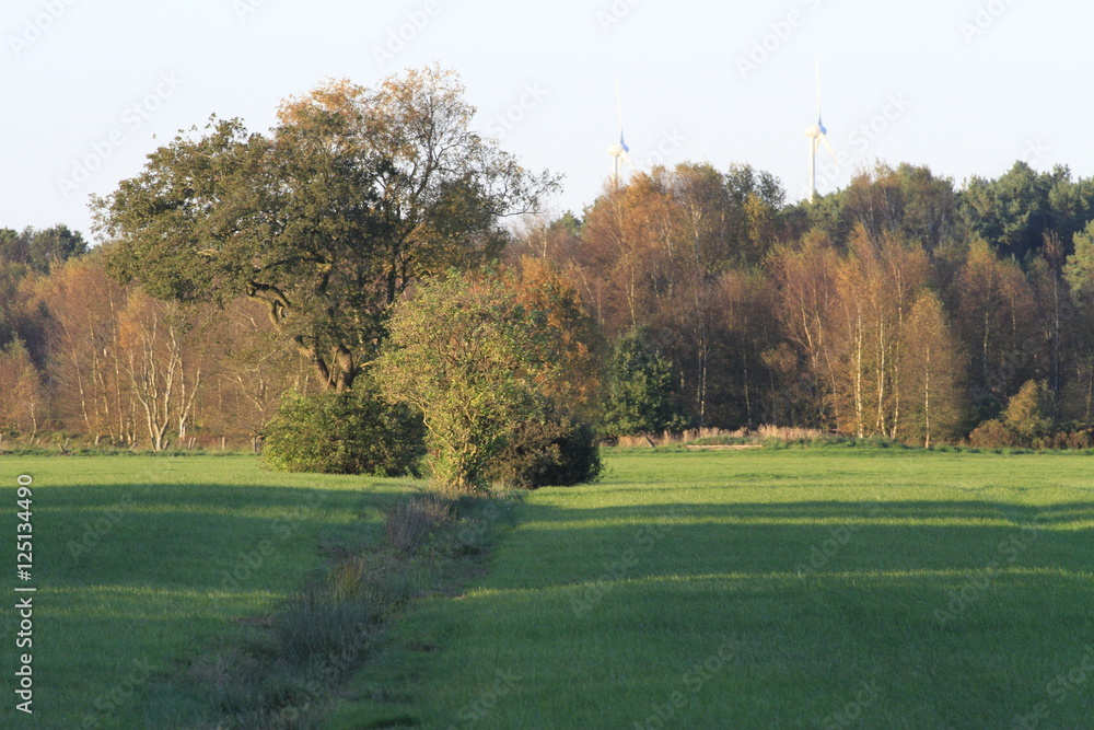 Im Quellgebiet der Hamme unterwegs in der Umgebung von Wallhöfen Im Quellgebiet der Hamme unterwegs in der Umgebung von Wallhöfen