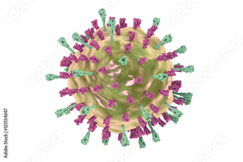 Εκτύπωση καμβά Mumps virus