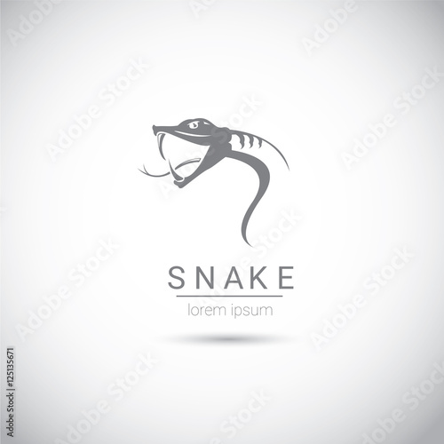 vector snake simple black logo design element.