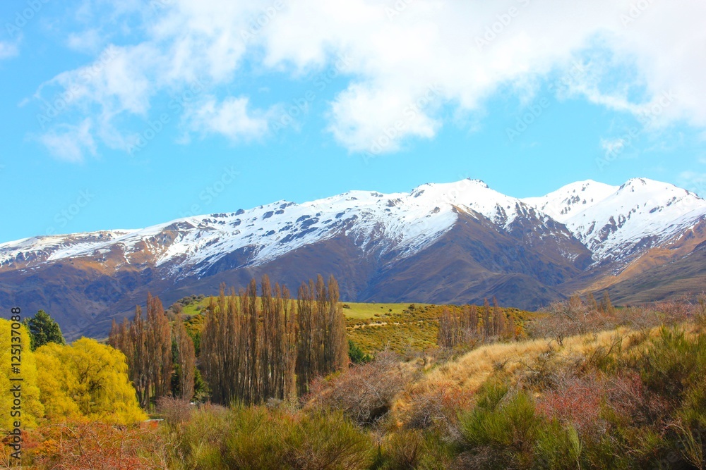 Berglandschaft in Neuseeland