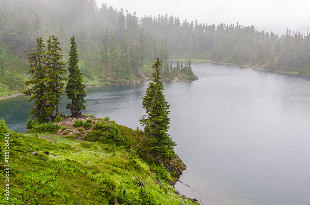 Fragment of foggy and rainy Bagley Lakes Trail at Mount Baker Park in Washington, USA Fragment of foggy and rainy Bagley Lakes Trail at Mount Baker Park in Washington, USA