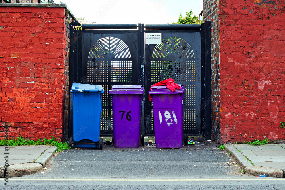 General waste and recyclable waste wheelie bins at the end of an