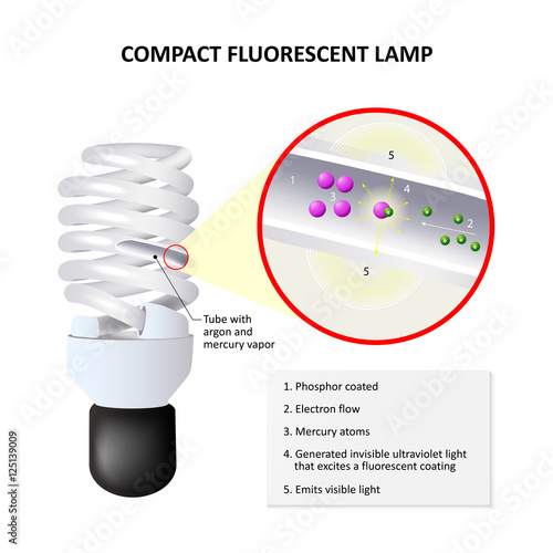How Do CFLs Work
