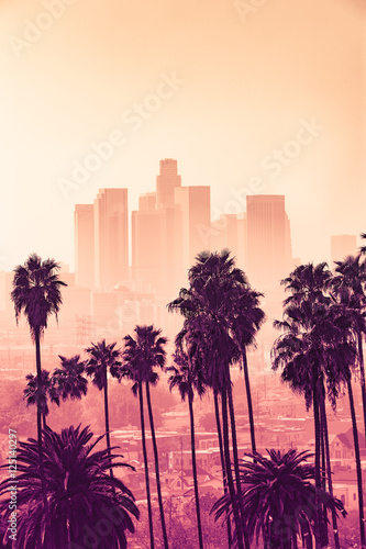 Panoramę Los Angeles z palmami na pierwszym planie
