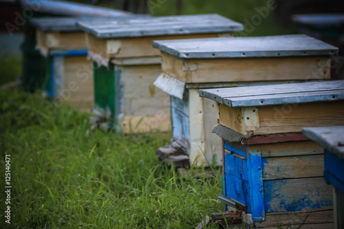 Beehives © Aslan Iuan 