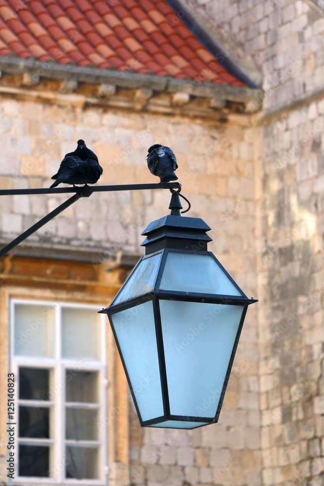 Pigeons on a retro street lamp in Old Town Dubrovnik, Croatia. Traditional stone house in the background, selective focus. Dubrovnik is popular touristic destination and UNESCO World Heritage Site. 
