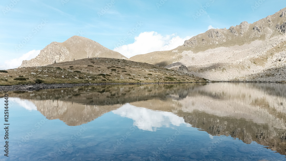 Fototapeta premium reflet de la nature