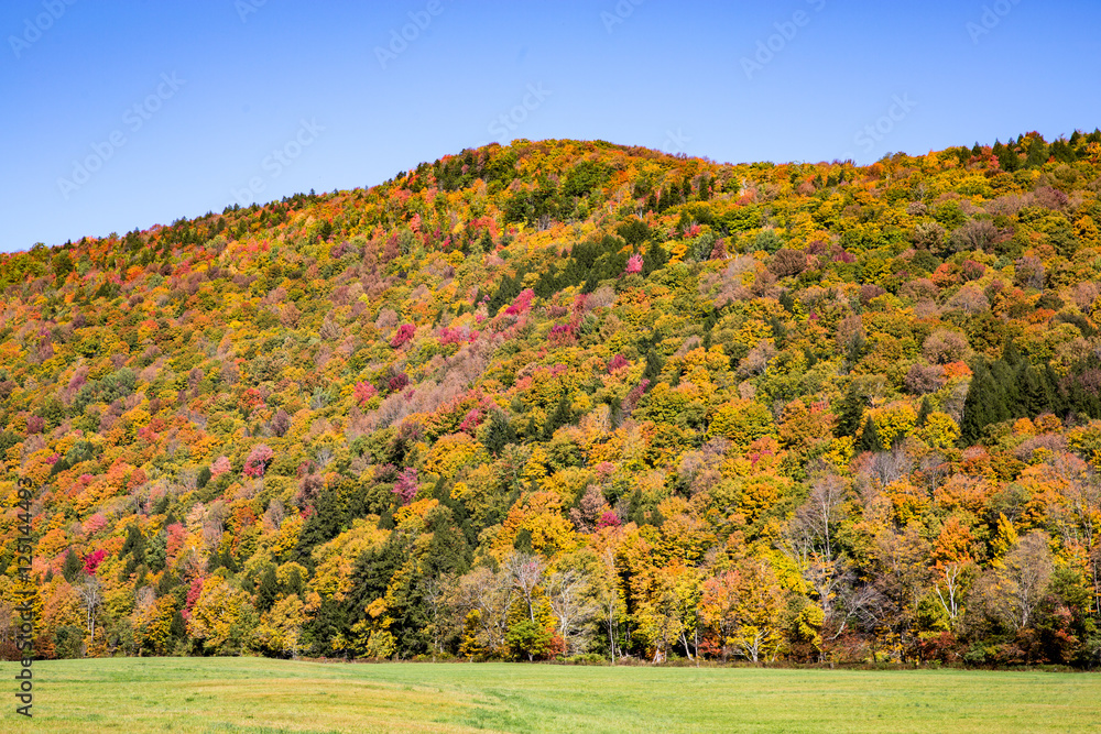 Tapestry of Color on the Vermont Hills in Autumn Tapestry of Color on the Vermont Hills in Autumn