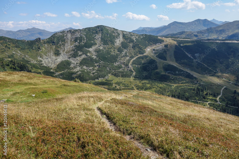 Fototapeta premium Planneralm im Sommer