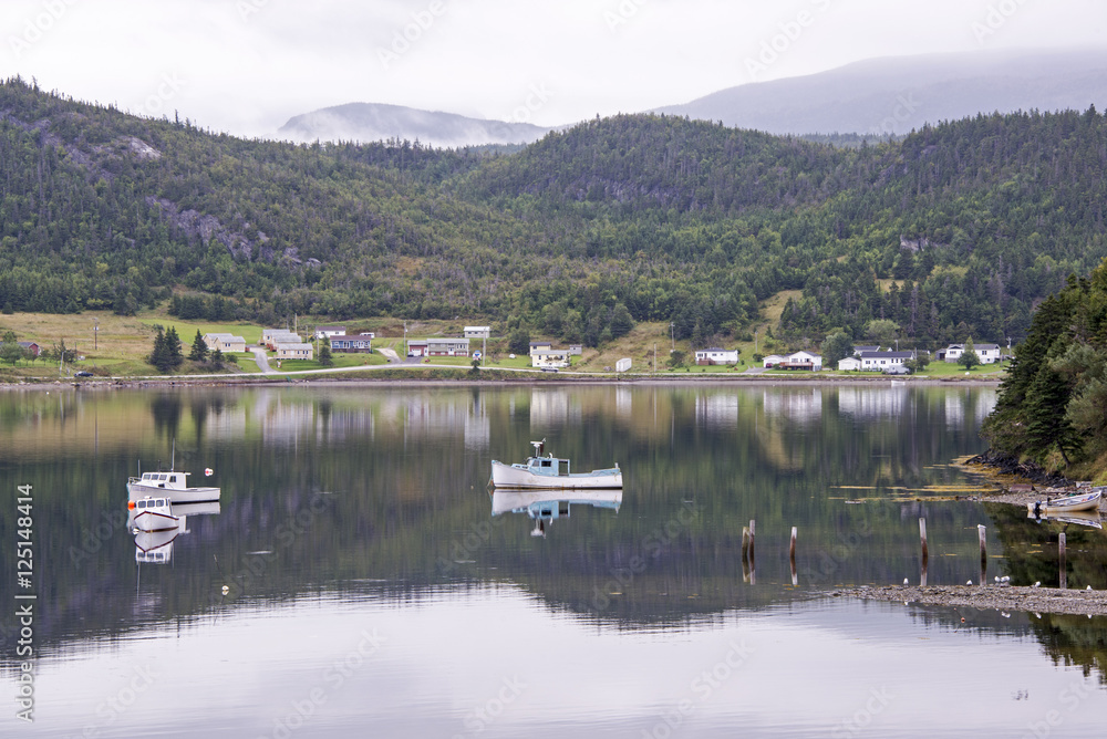 Fototapeta premium Fishing hamlet in Newfoundland