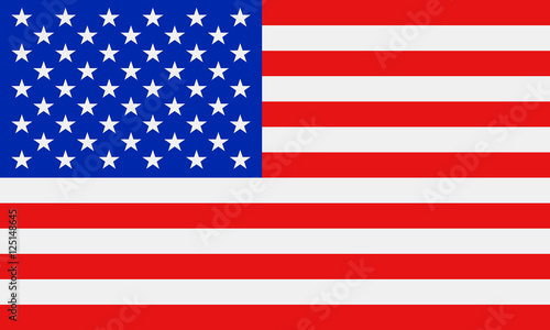 USA flag. Vector illustration.