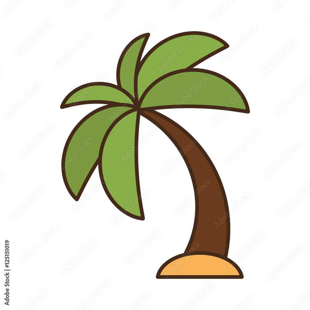 tree palm beach isolated icon vector illustration design