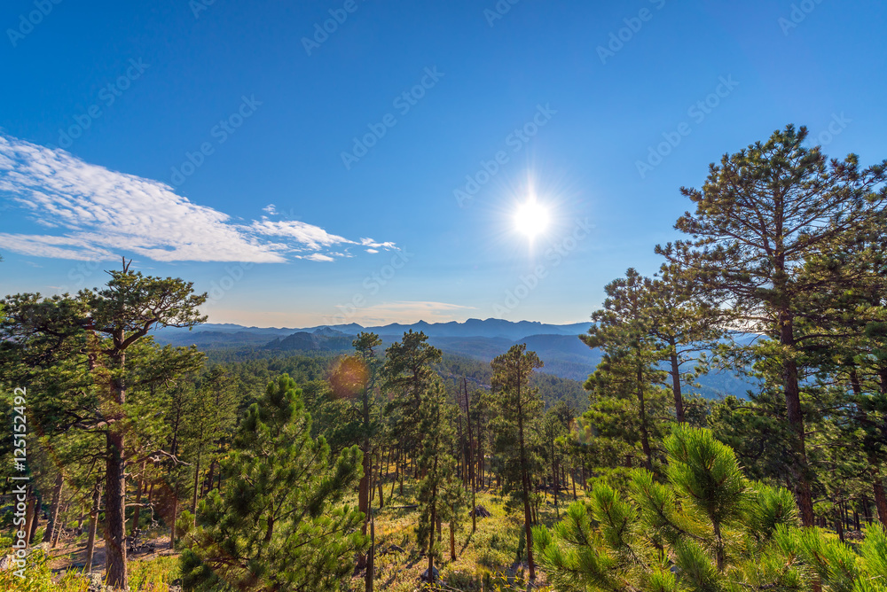 Custer State Park Landscape