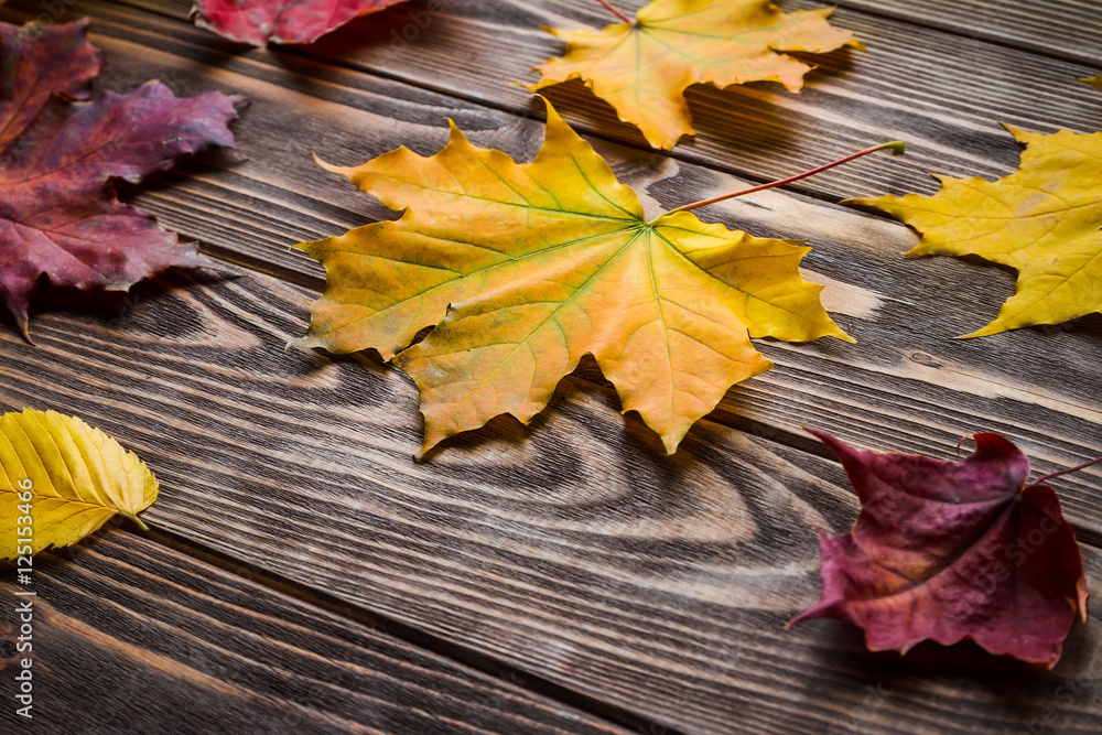 Obraz premium Autumn leaves over wooden background,