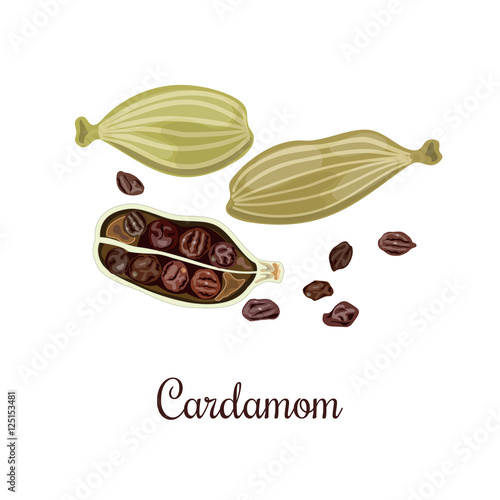 Tableau sur toile Cardamom Spice. Culinary seasoning.