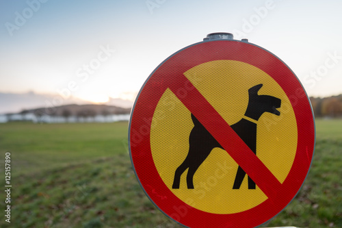 No dogs allowed on the beach - Gothenburg Sweden photo