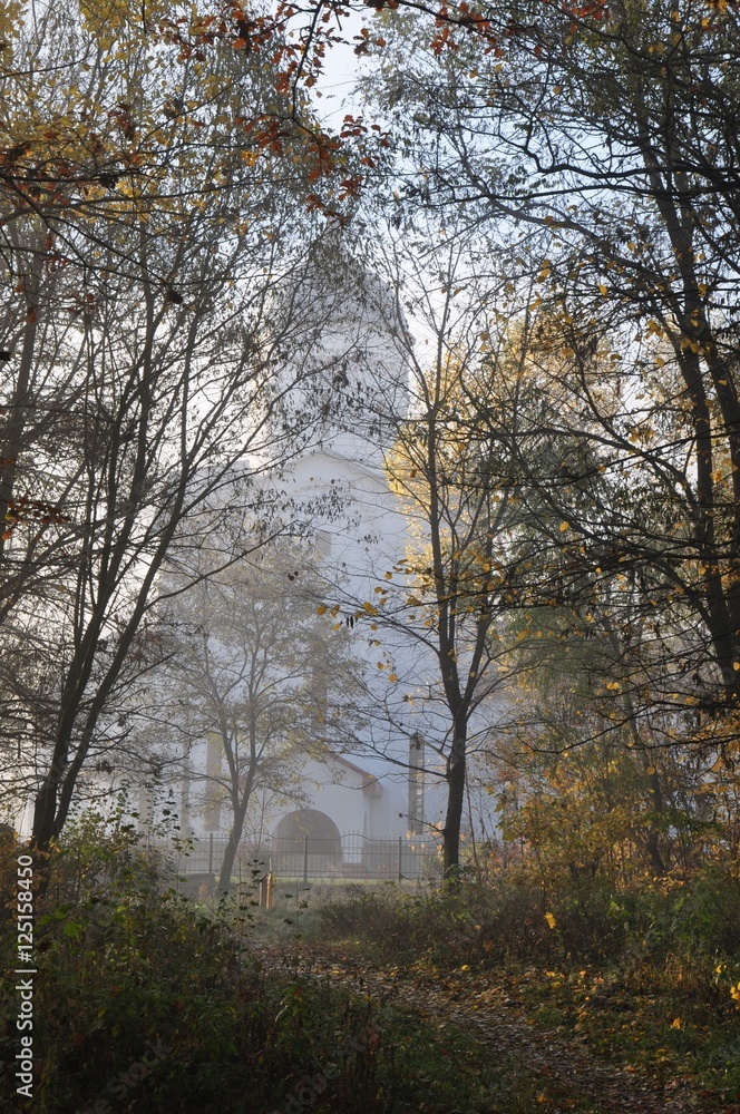 autumn fog trees temple autumn fog trees temple