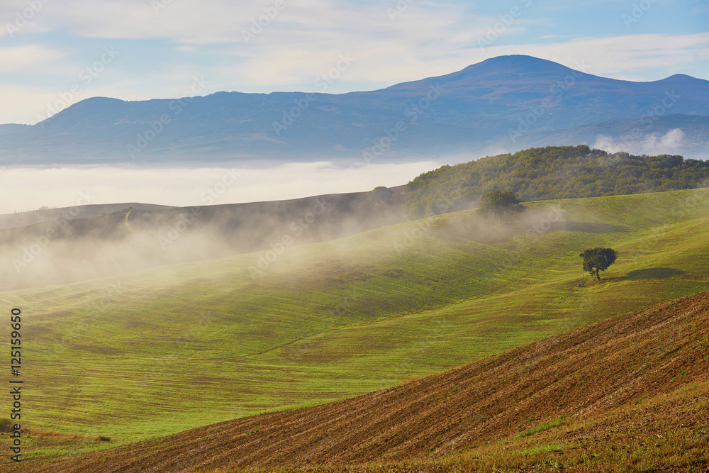 Scenic view of Tuscan fields and hills with fog