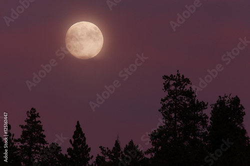 Blue Moon. Full moon rising 08/19/13, Oregon, Cascade Siskiyou National © davidhoffmann.com
