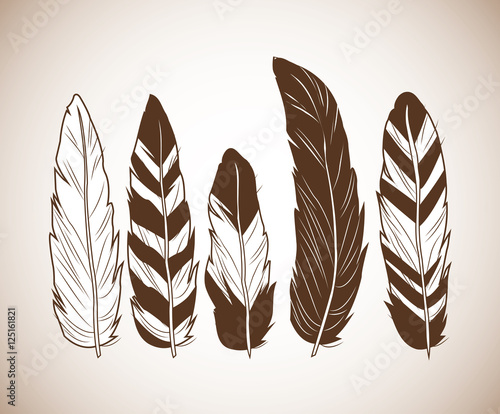 feathers icon. boho style bohemic ornament indian and decoration theme. Pastel background. Vector illustration