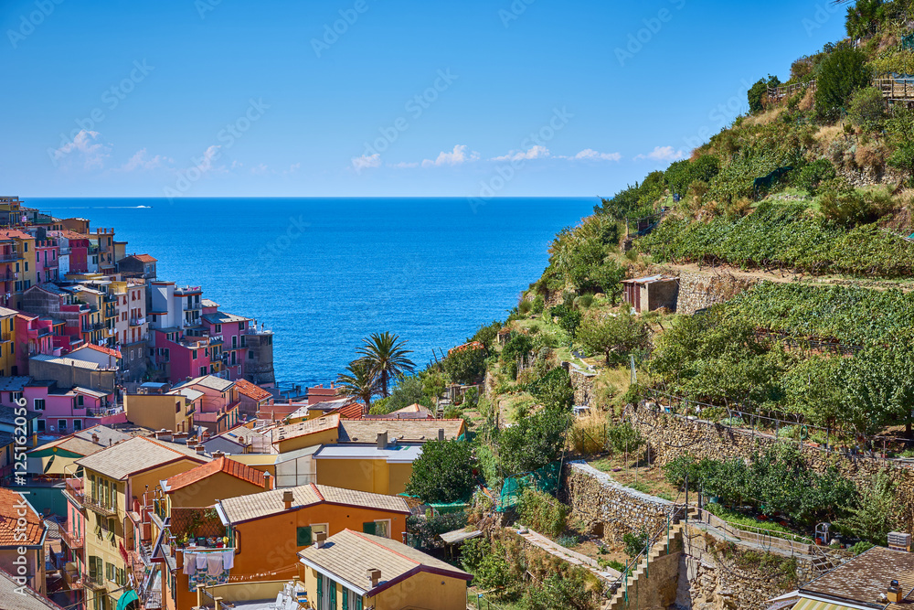 Famous town of Manarola in Cinque Terre / Colorful houses of Liguria