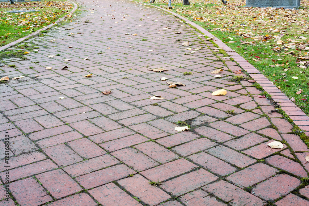 Fototapeta premium レンガの歩道