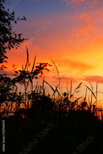 Scenic view of sunset in scarlet colors over high grass with dense clouds on evening sky. Vertical orientation
