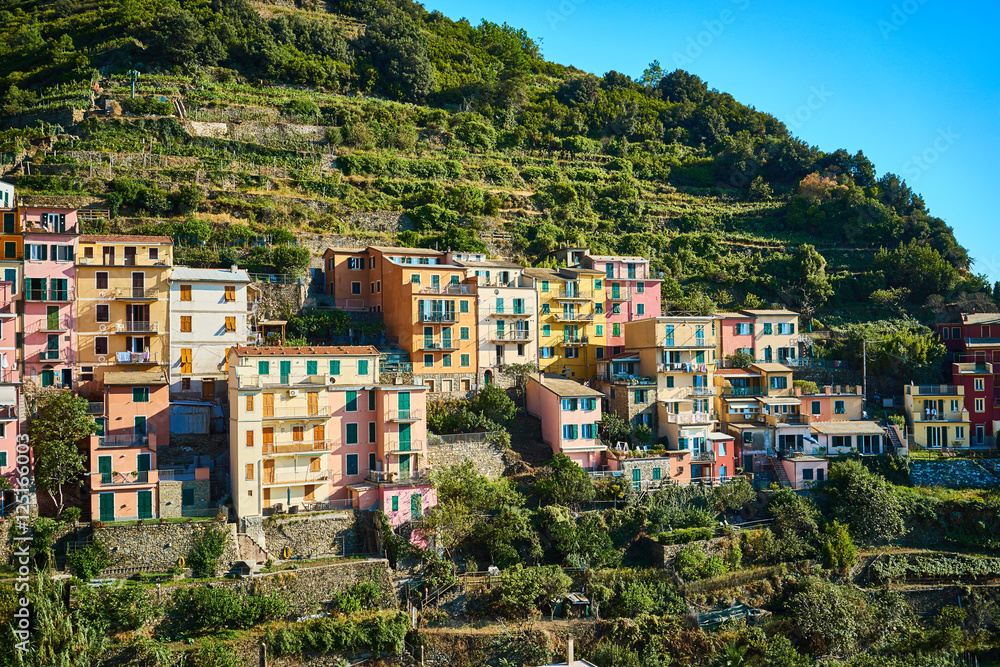 Famous town of Manarola in Cinque Terre / Colorful houses of Liguria