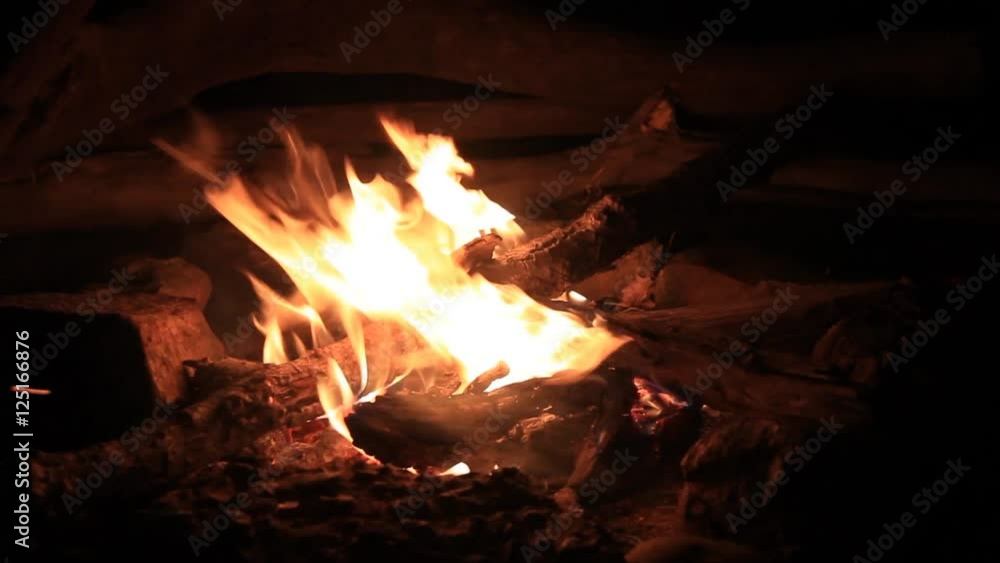 Camping Outdoor Campfire at Night