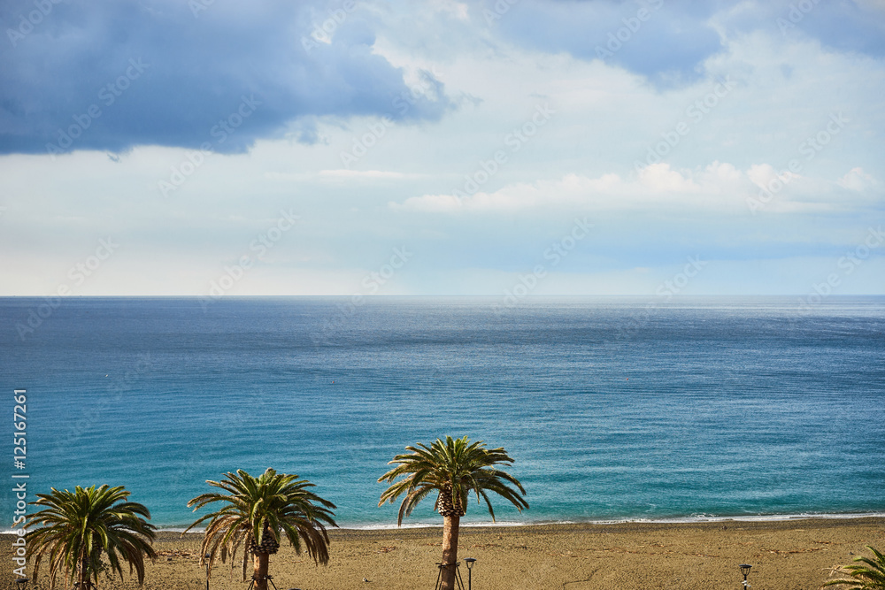 cloudy day at beach in Italy / Palm Trees in the rain